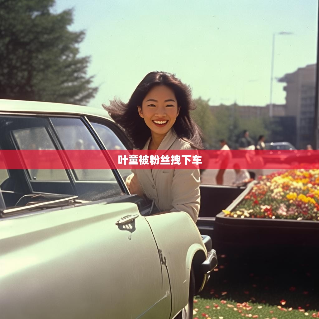 叶童被粉丝拽下车