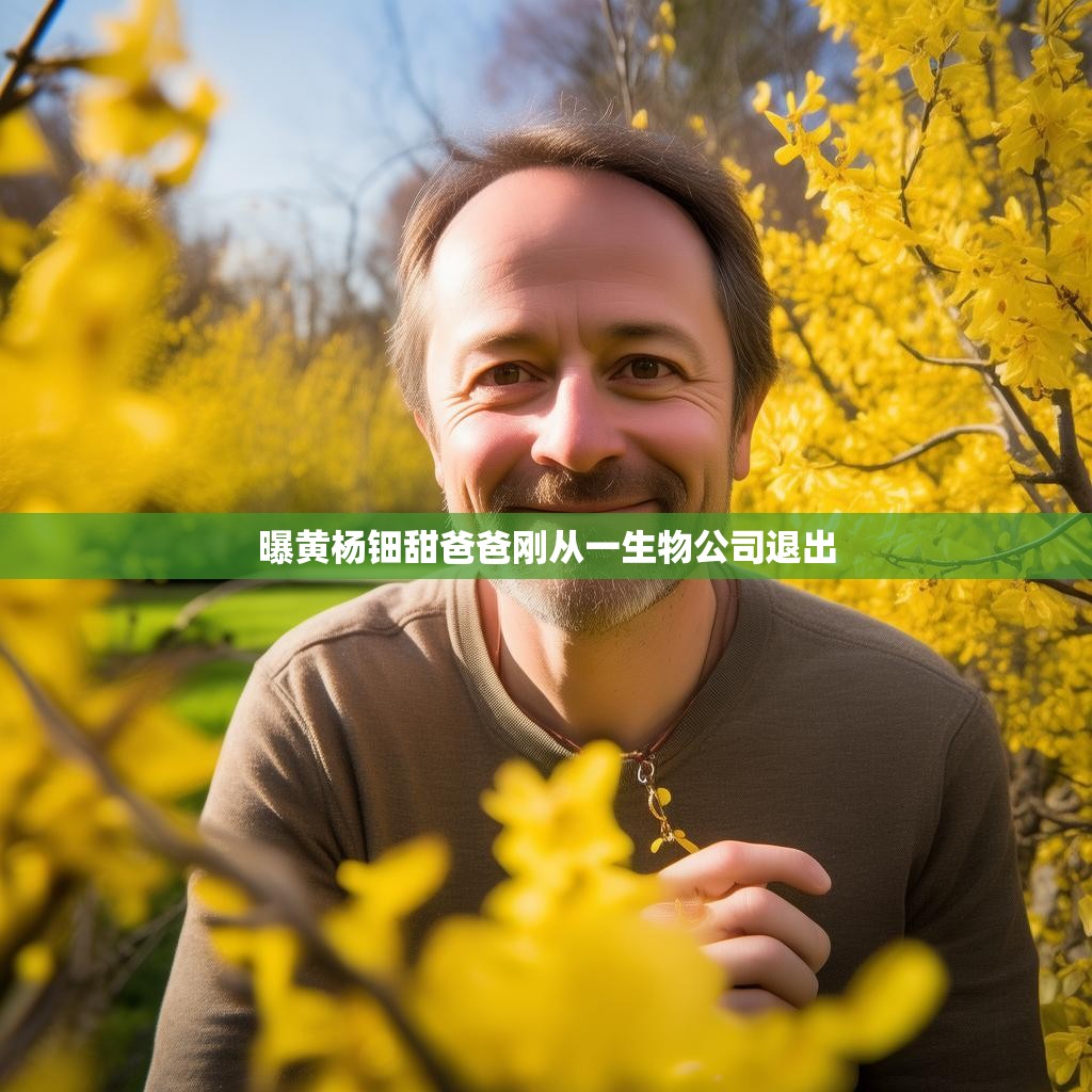 黄杨钿甜父亲辞职影响